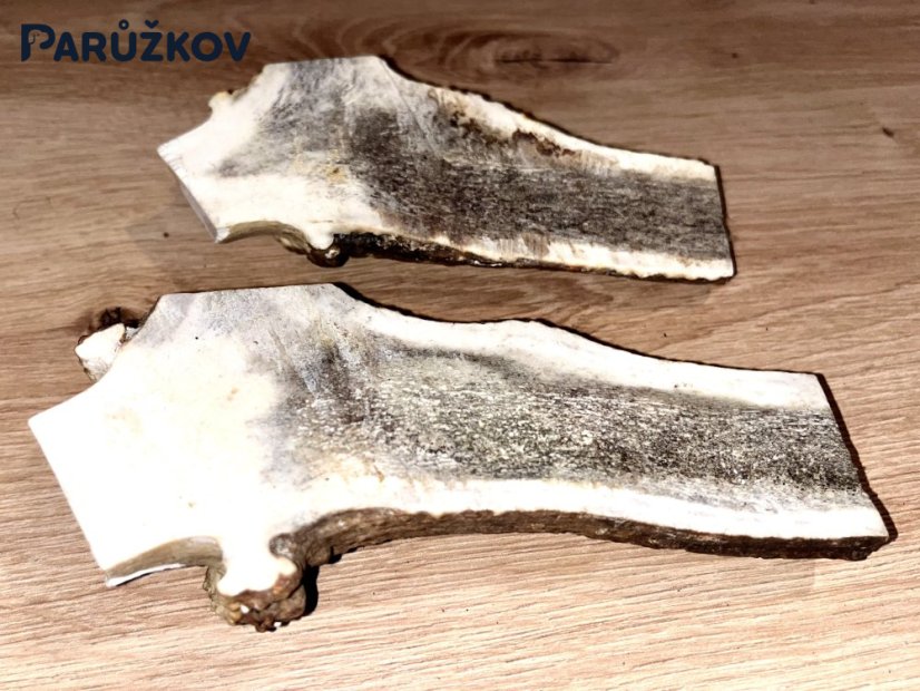 JELENÍ PAROHY - Duo - půlené (15 cm)