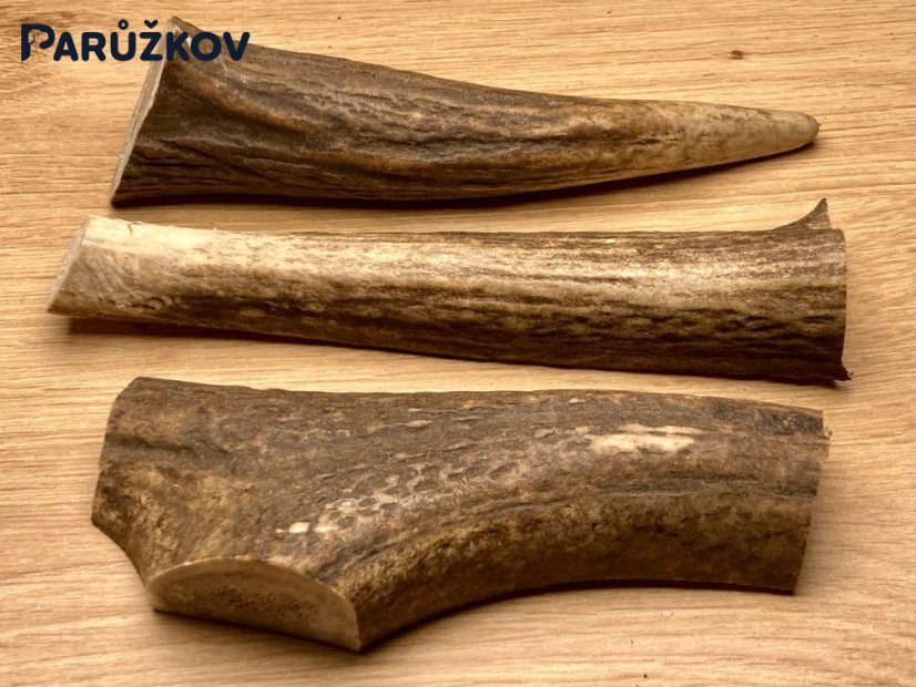 JELENÍ PAROHY - Trio - mix (14 cm)