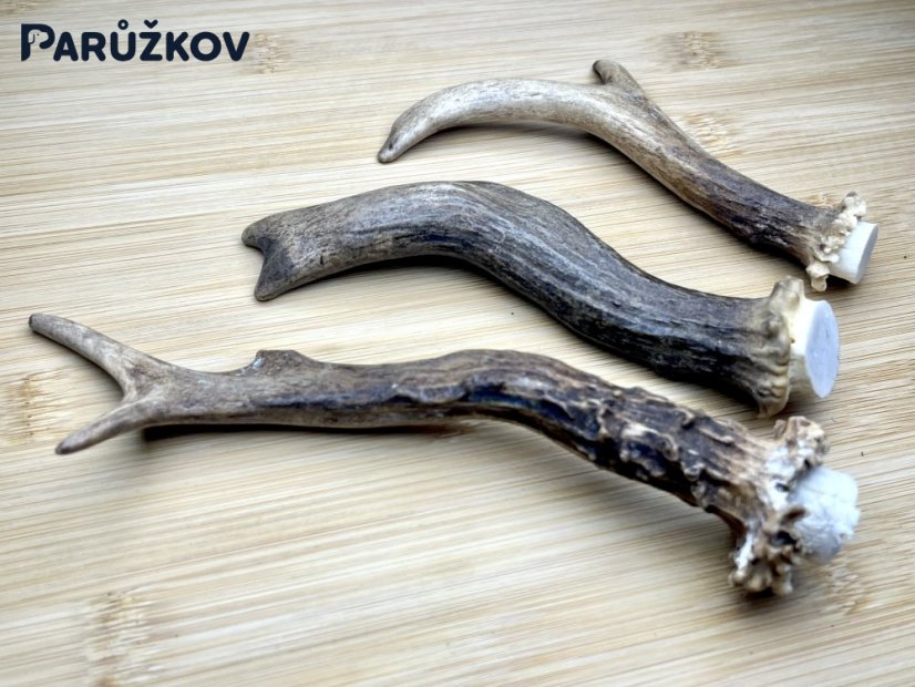 SRNČÍ PAROHY - Trio (18 cm)