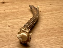 SRNČÍ PAROHY (14 cm)