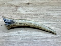 JELENÍ PAROHY - Roh (14 cm)