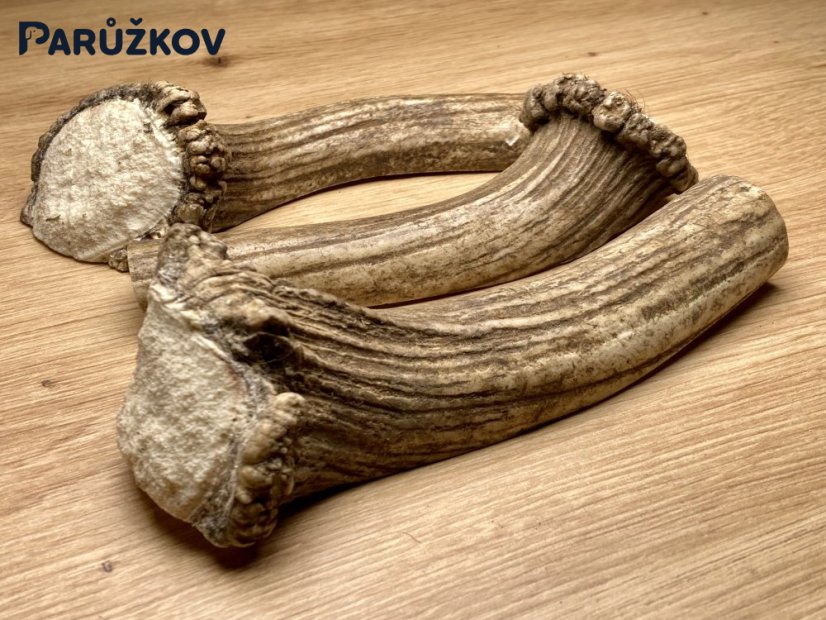 DANČÍ PAROHY - Trio - půlené (15,5 cm)