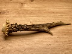 SRNČÍ PAROHY (20 cm)