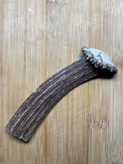 JELENÍ PARŮŽEK PRO PSY půlený 13,5cm