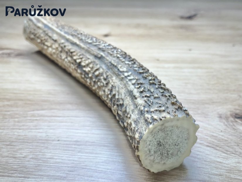 JELENÍ PAROHY (23 cm)
