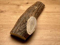 JELENÍ PAROHY - Půlený (19 cm)