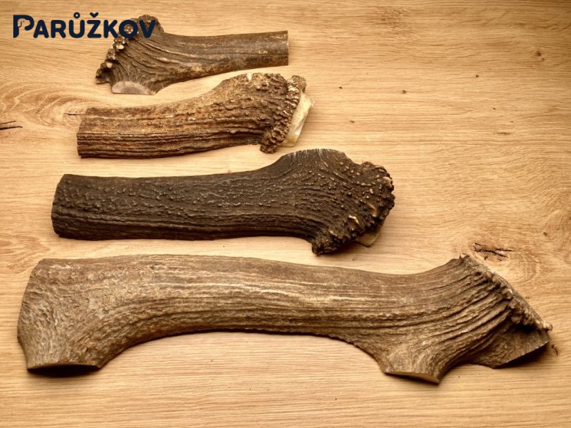 Jelení parůžky (půlené), různé velikosti