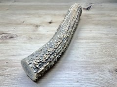 JELENÍ PAROHY (23 cm)