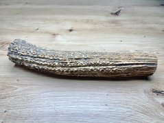 JELENÍ PAROHY (23 cm)