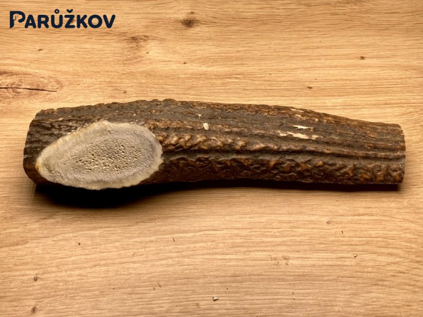 JELENÍ PAROHY - Půlený (19 cm)