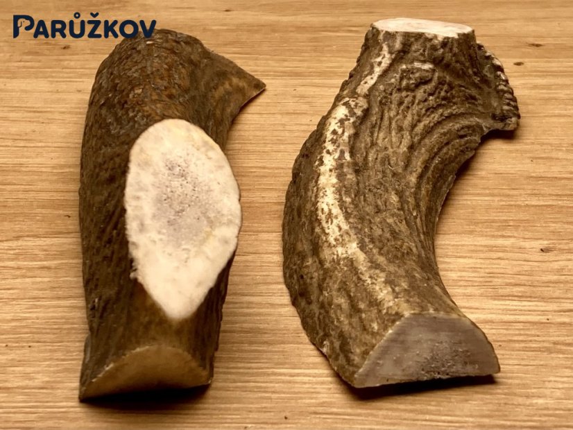 JELENÍ PAROHY - Různé druhy - Velikost: S (40 - 80 g), Typ: Půlený