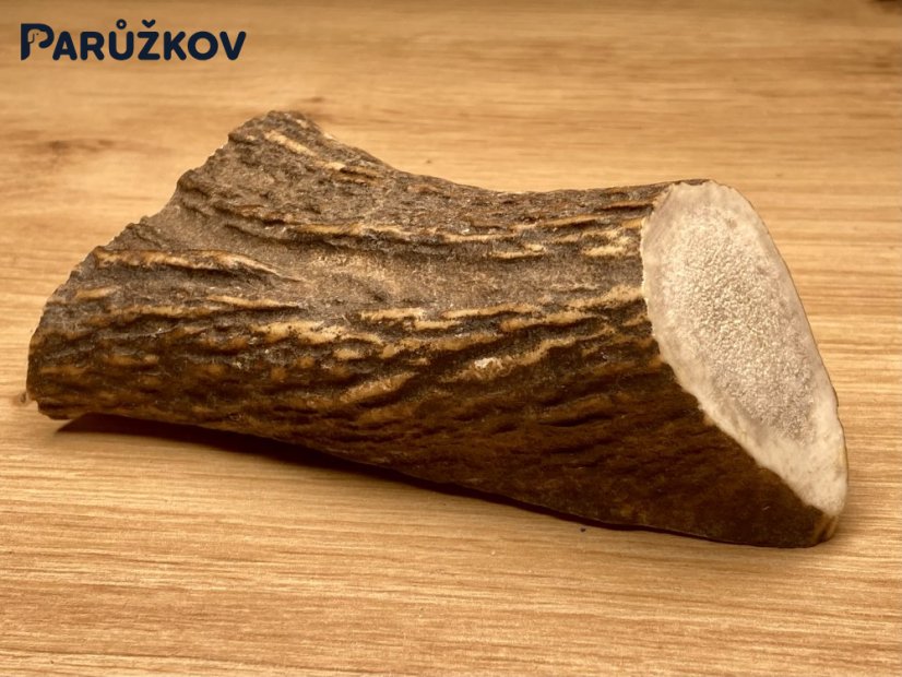 JELENÍ PAROHY - Půlený (10,5 cm)