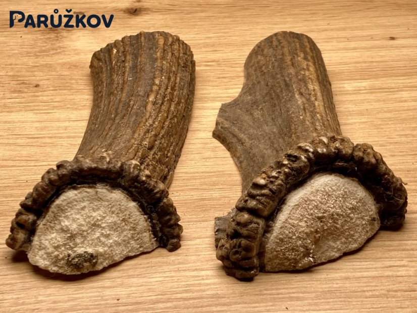 JELENÍ PAROHY - Duo - půlené (14 cm)