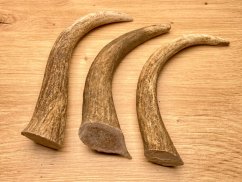 DANČÍ PAROHY - Trio - rohy (15 cm)