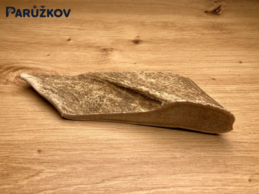 DANČÍ PAROHY (18 cm)