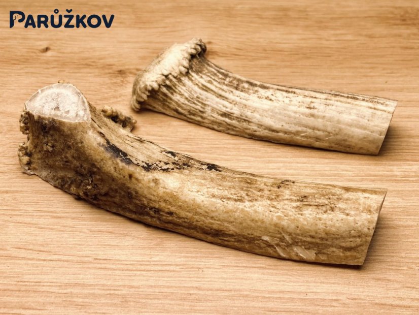 DANČÍ PAROHY - Duo - půlené (14 cm)