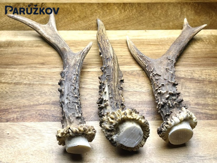 SRNČÍ PAROHY - Trio (18 cm)