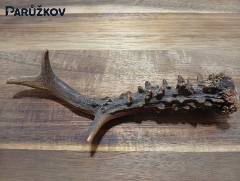 SRNČÍ PARŮŽEK PRO PSY - 19 cm