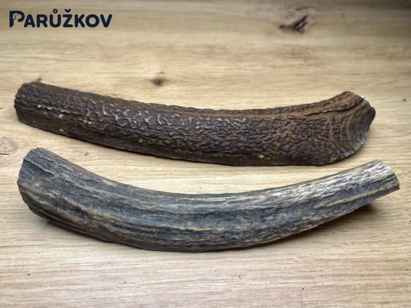 JELENÍ PAROHY - Duo - půlené (21 cm)