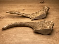 DANČÍ PAROHY - Duo (22 cm)