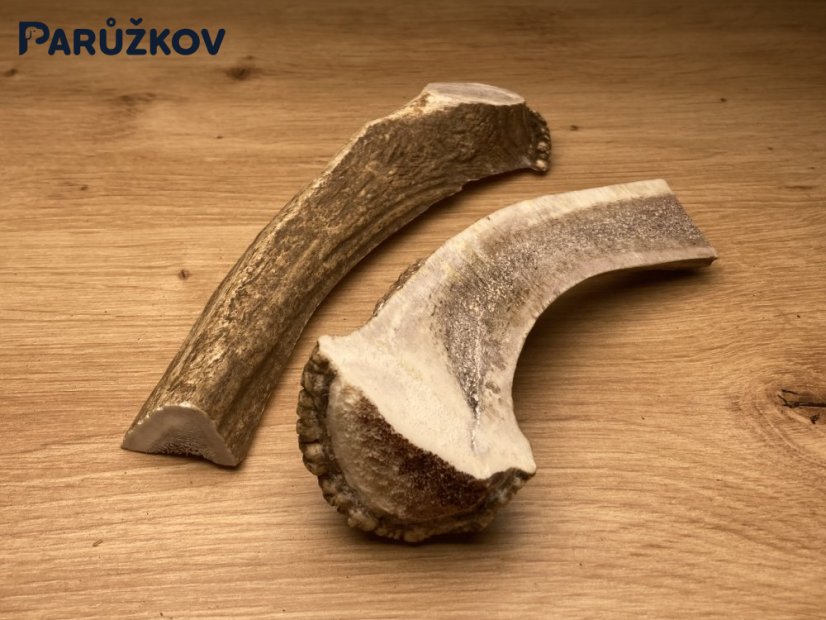 DANČÍ PAROHY - Duo (17 cm)