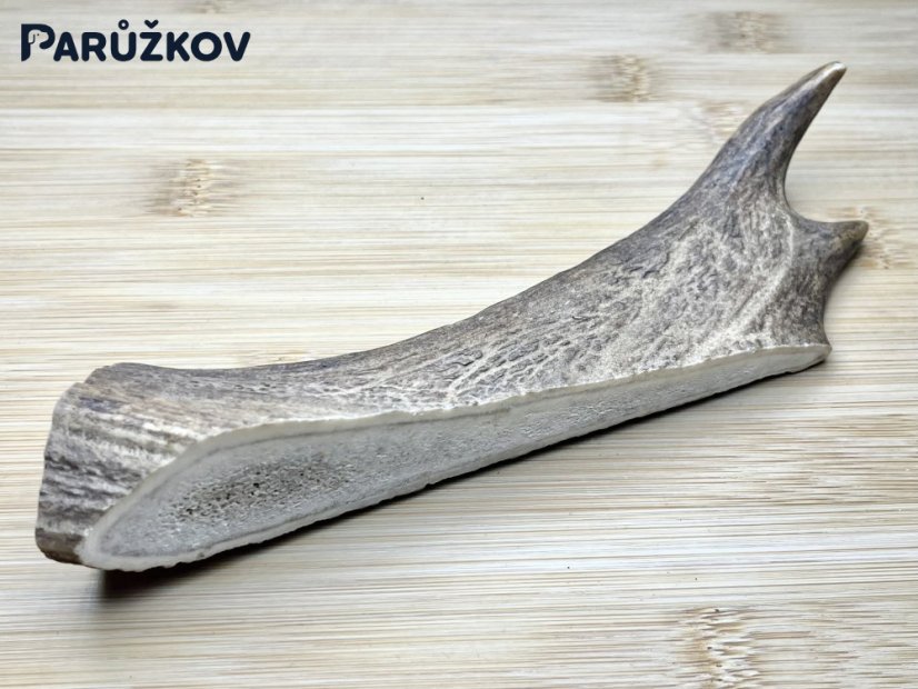 DANČÍ PAROHY (18 cm)