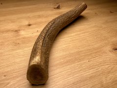 JELENÍ PAROHY (29 cm)