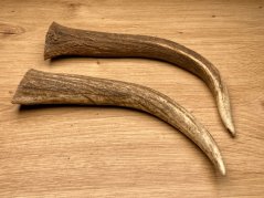 DANČÍ PAROHY - Duo - rohy (20 cm)
