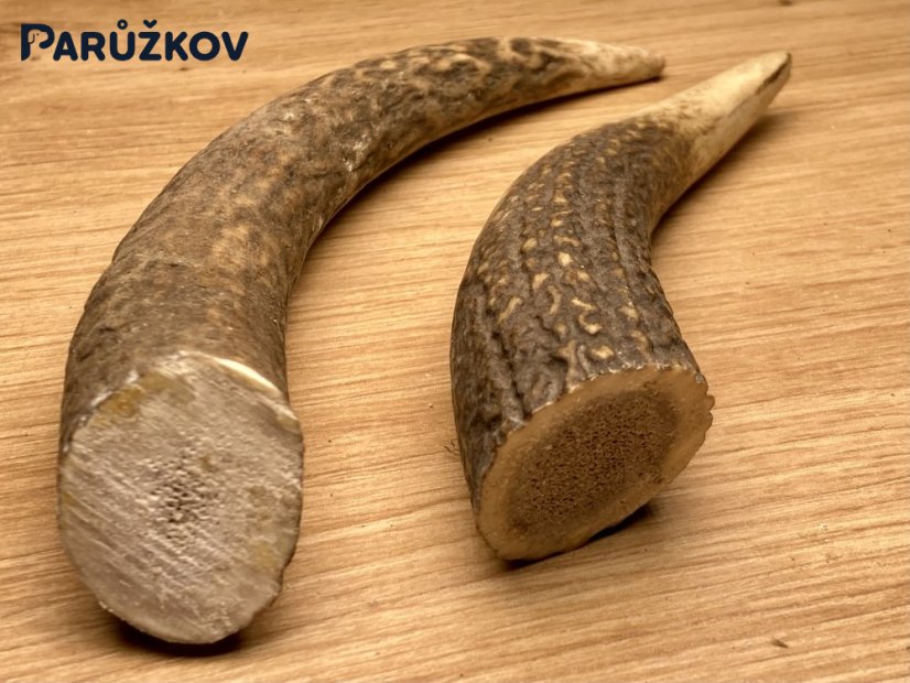JELENÍ PAROHY - Duo - rohy (16 cm)