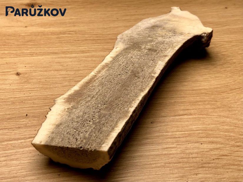JELENÍ PAROHY - Půlený (18 cm)