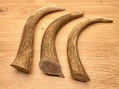 DANČÍ PAROHY - Trio - rohy (15 cm)