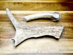 DANČÍ PAROHY - Duo (21 cm)