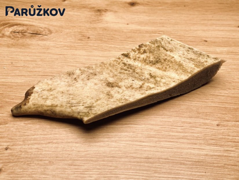 DANČÍ PAROHY (17 cm)