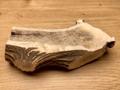 JELENÍ PAROHY - Půlený (14 cm)
