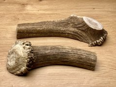 DANČÍ PAROHY - Duo - půlené (16 cm)