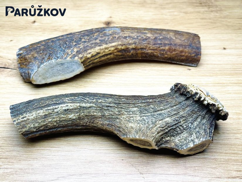 JELENÍ PAROHY - Duo - 1 půlený (17 cm)