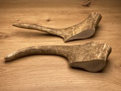 DANČÍ PAROHY - Duo (22 cm)