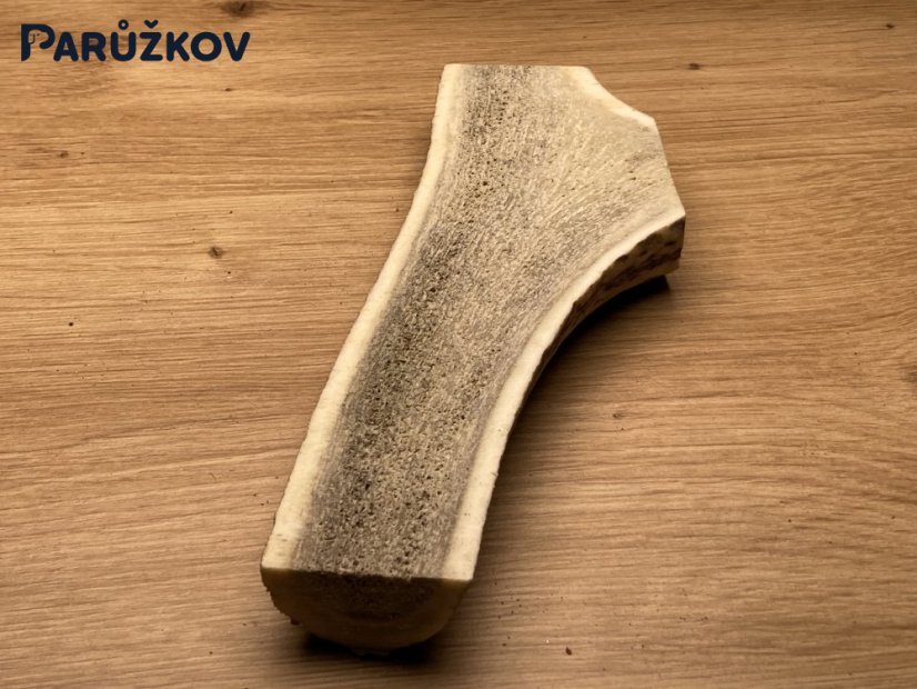 JELENÍ PAROHY - Půlený (17 cm)