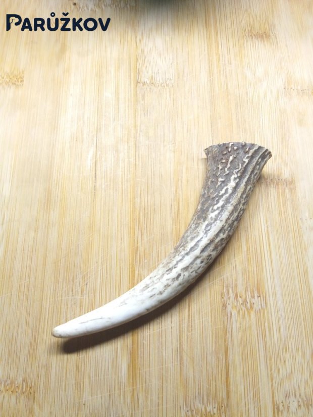 JELENÍ PARŮŽEK PRO PSY ROH 14cm