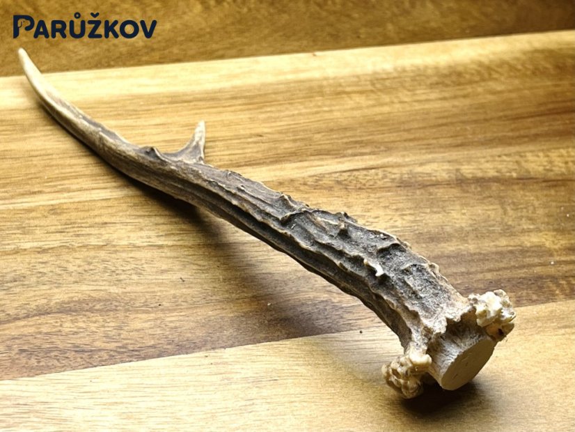 SRNČÍ PAROHY (18 cm)