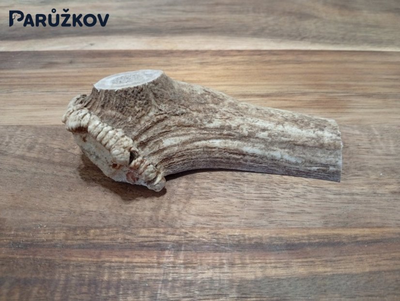 JELENÍ PARŮŽEK PRO PSY - 11 cm - PŮLENÝ