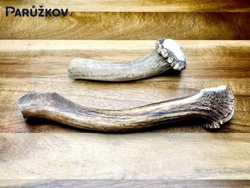 DANČÍ PAROHY - Duo (20 cm)