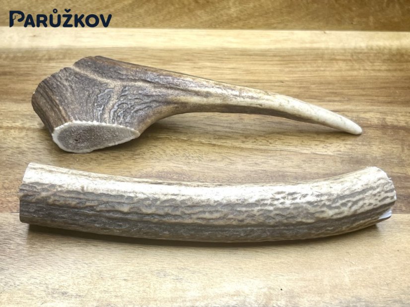 JELENÍ PAROHY - Duo (16 cm)