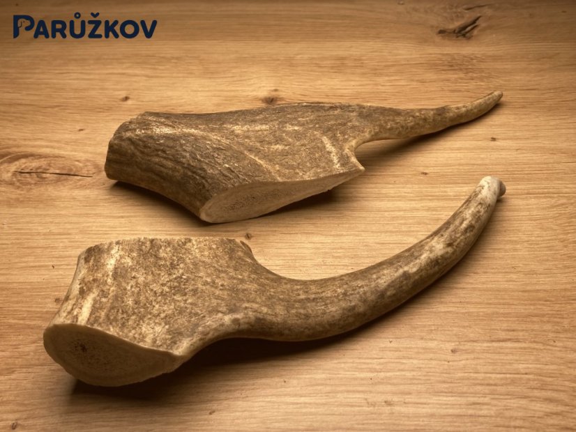DANČÍ PAROHY - Duo (22 cm)