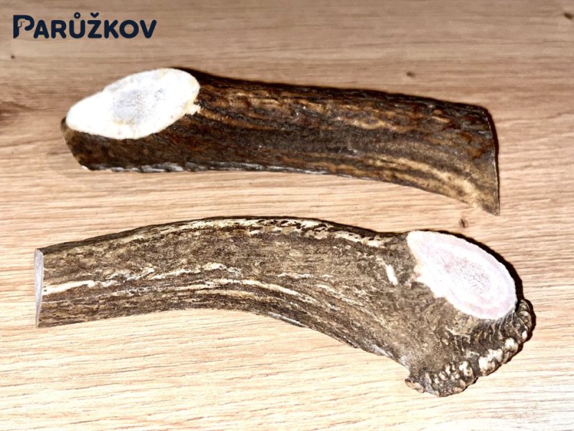 JELENÍ PAROHY - Duo - půlené (13 cm)