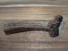 JELENÍ PARŮŽEK PRO PSY - 13 cm - PŮLENÝ