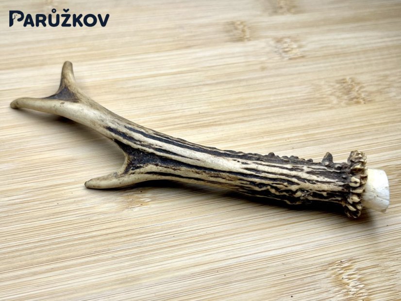 SRNČÍ PAROHY (17 cm)
