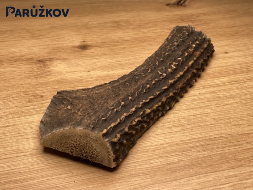 JELENÍ PAROHY - Půlený (16,5 cm)