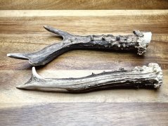 SRNČÍ PAROHY - Duo (17,5 cm)