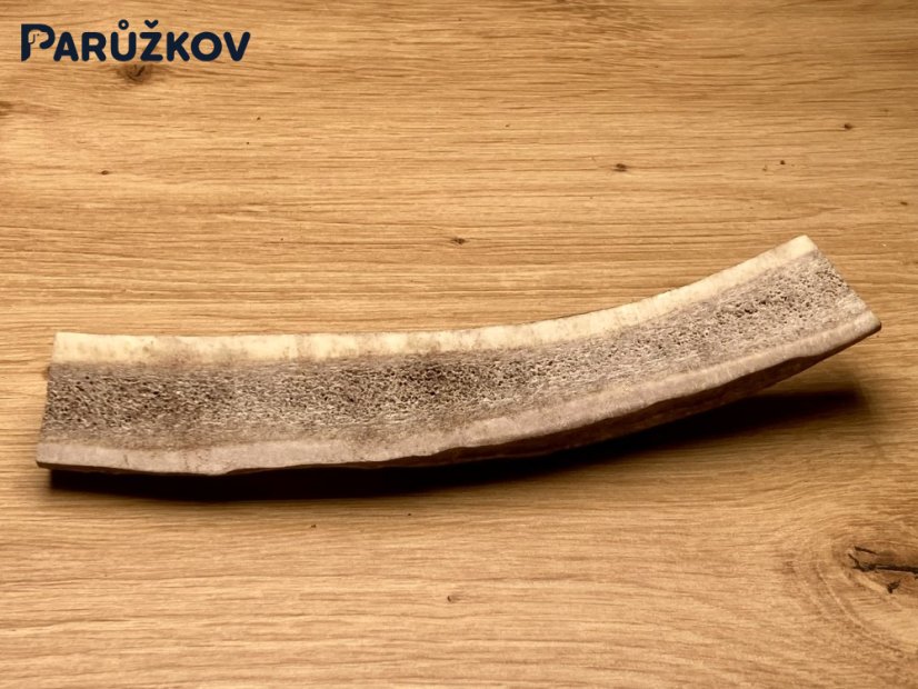 JELENÍ PAROHY - Půlený (16 cm)